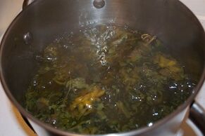 θεραπεία κιρσών με αφεψήματα